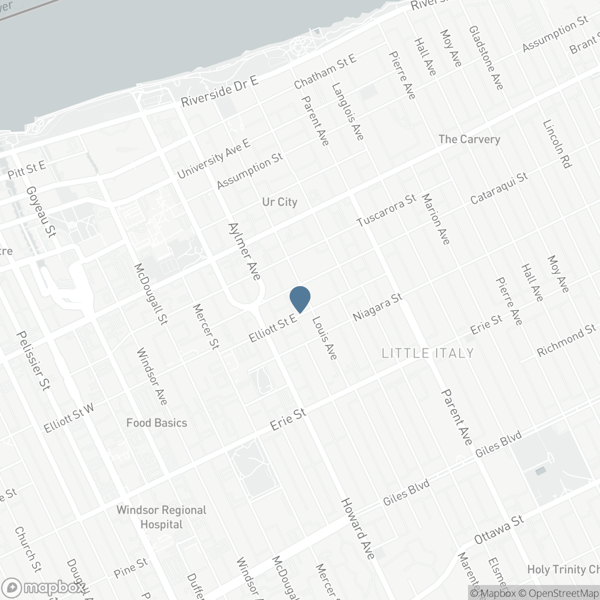 1-11 - 825 LOUIS AVENUE, Windsor, Ontario N9A 1X4